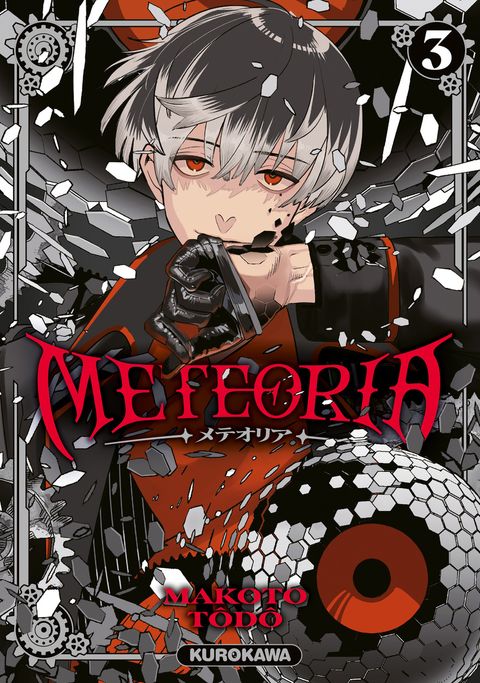 Couverture de l'album Meteoria