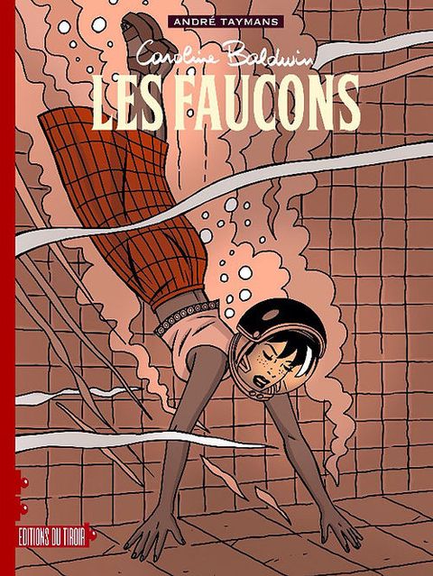 Couverture de l'album Les faucons