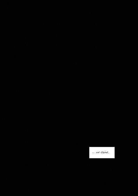 Aperçu de l'album De Briques et de Sang