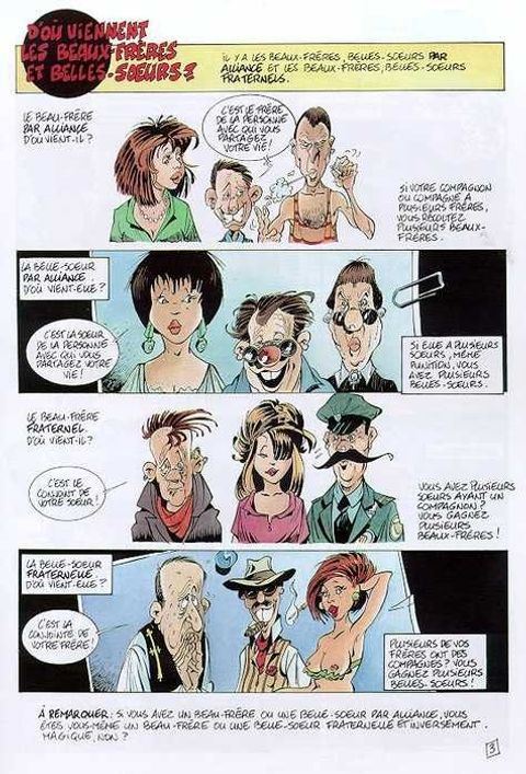Aperçu de l'album Le Guide en BD tome 13 - Le Guide du Beau-Frère et de la Belle-Soeur
