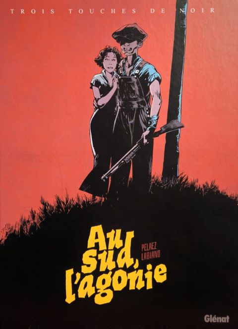 Couverture de l'album Au Sud, l'Agonie
