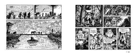 Aperçu de l'album La Dragonne et le Drôle tome 1
