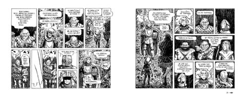 Aperçu de l'album La Dragonne et le Drôle tome 1