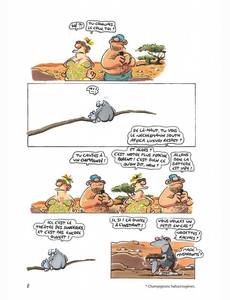 Aperçu 10 de l'album Homo erectus