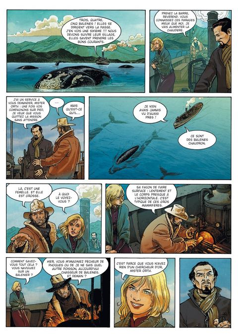 Aperçu de l'album Cap Horn tome 2 - Dans le Sillage des Cormorans