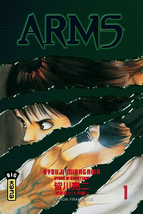 Couverture de l'album Arms