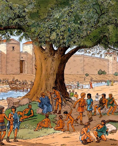 Aperçu de l'album Les voyages d'Alix tome 12 - Athènes