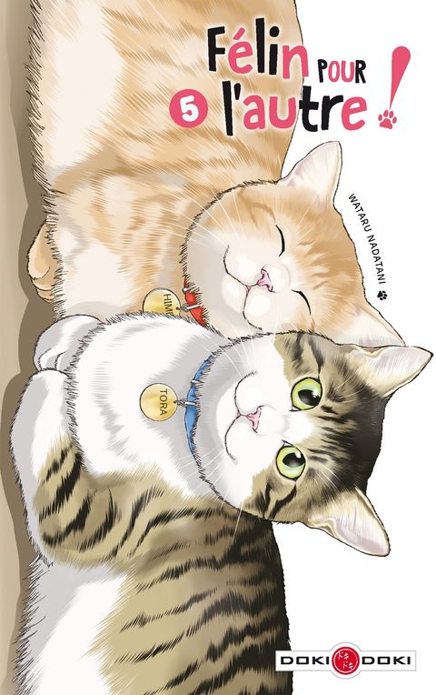 Couverture de l'album Félin pour l'Autre