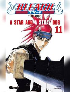 Couverture de l'album A Star And A Stray Dog