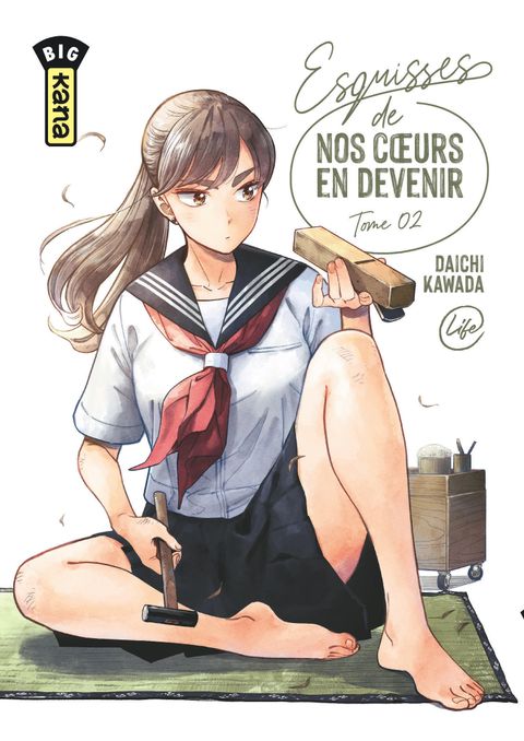 Couverture de l'album Esquisses de nos coeurs en devenir