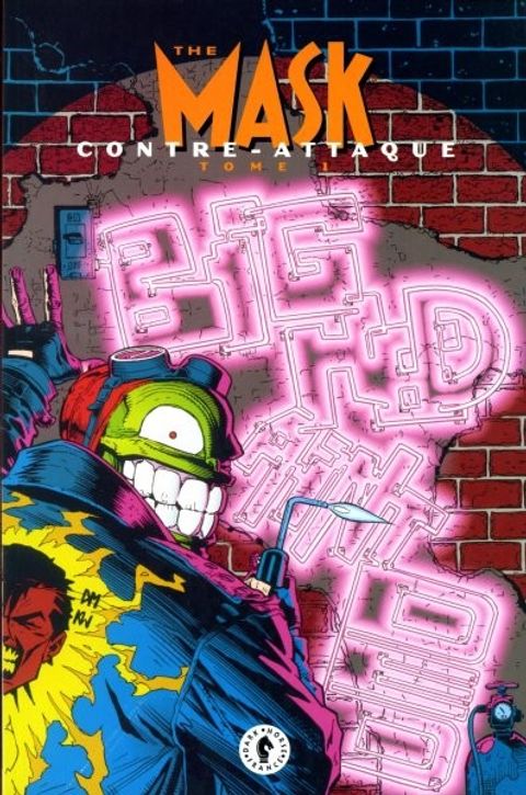 Couverture de l'album The mask