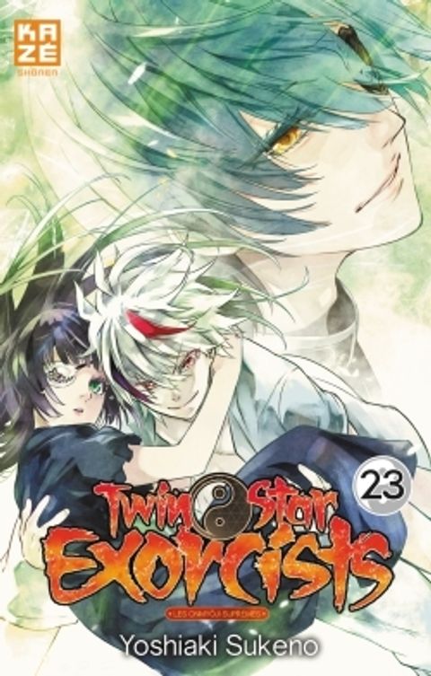 Couverture de l'album Twin Star Exorcists