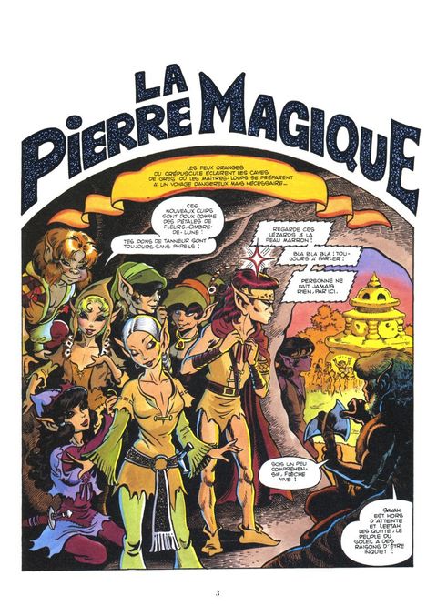 Aperçu de l'album Le Pays des Elfes tome 9 - La Pierre Magique