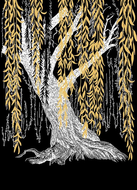 Couverture de l'album Legend of the willow