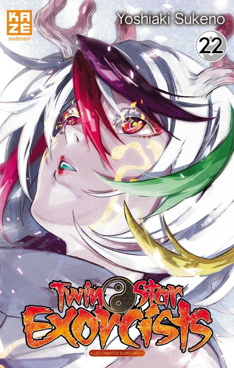 Couverture de l'album Twin Star Exorcists