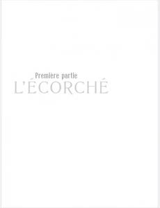 Aperçu 4 de l'album Secrets - L'Ecorché tome 1