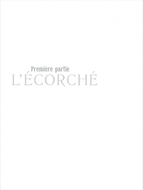 Aperçu de l'album Secrets - L'Ecorché tome 1