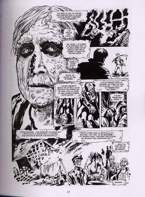 Aperçu de l'album Swamp Thing tome 3 - La malédiction
