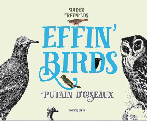 Couverture de l'album p'tain d'oiseaux