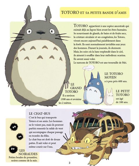 Aperçu de l'album Mon Voisin Totoro - Livre Illustré