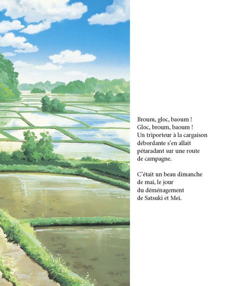 Aperçu de l'album Mon Voisin Totoro - Livre Illustré