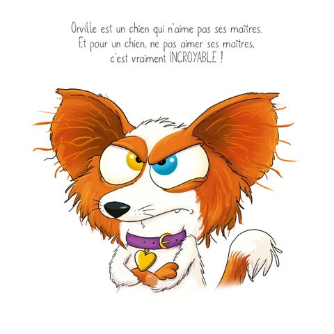 Aperçu de l'album La collection qui n'aimait pas les livres tome 13 - Le chien qui n'aimait pas ses maîtres