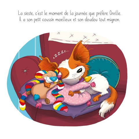 Aperçu de l'album La collection qui n'aimait pas les livres tome 13 - Le chien qui n'aimait pas ses maîtres