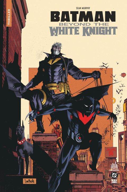 Couverture de l'album Beyond the White Knight