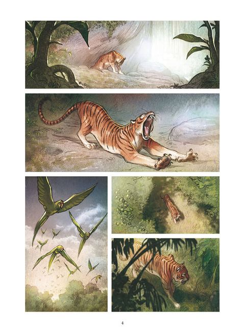 Aperçu de l'album Love tome 1 - Le Tigre