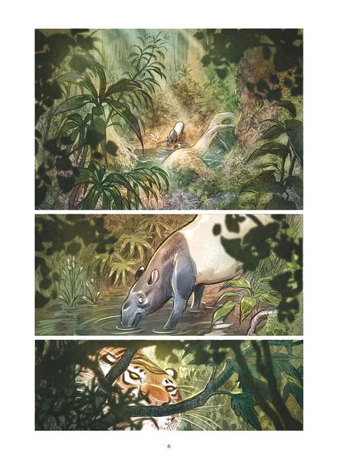 Aperçu de l'album Love tome 1 - Le Tigre