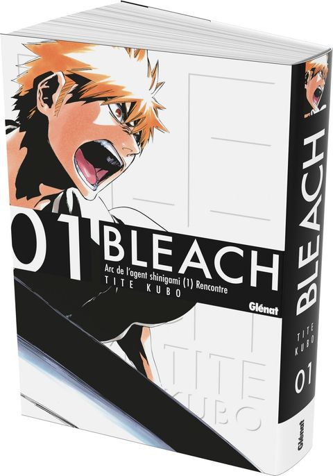 Couverture de l'album Bleach