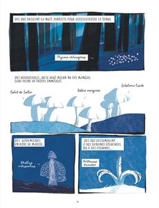 Aperçu 4 de l'album La Voie des dieux