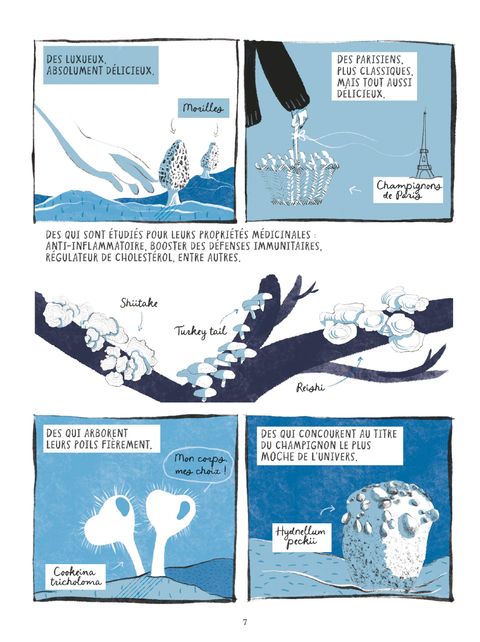 Aperçu de l'album La Voie des dieux