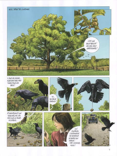 Aperçu de l'album Servais - La faune symbolique tome 3 - Le corbeau, la corneille et la colombe