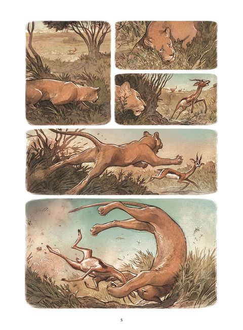 Aperçu de l'album Love tome 3 - Le Lion