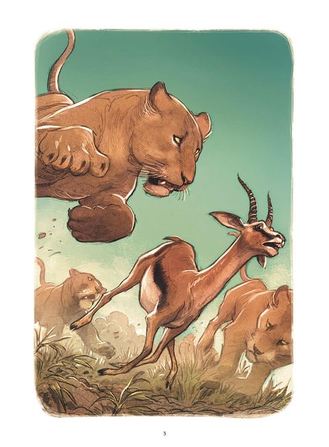 Aperçu de l'album Love tome 3 - Le Lion