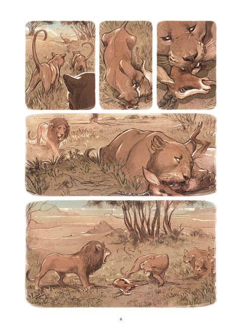 Aperçu de l'album Love tome 3 - Le Lion