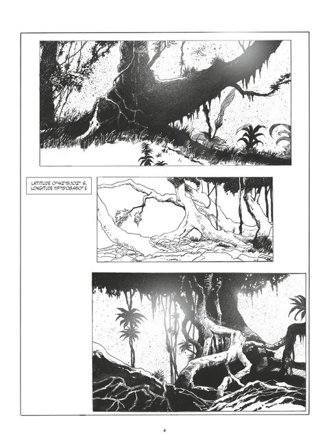 Aperçu de l'album King Kong