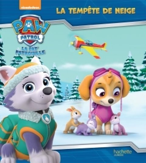 Couverture de l'album La tempête de neige