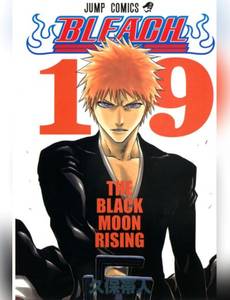 Couverture de l'album The Black Moon Rising