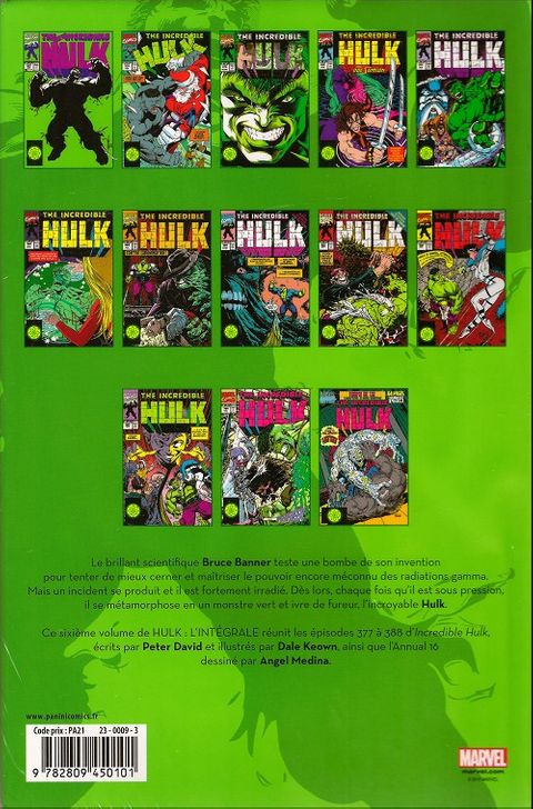 Aperçu de l'album Hulk : L'intégrale tome 11 - 1991