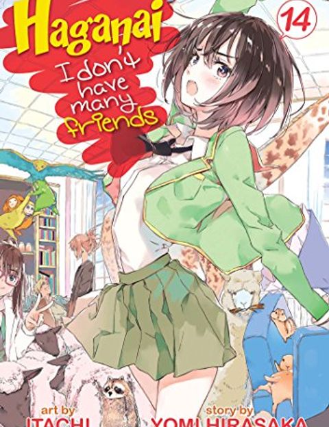 Couverture de l'album Haganai I Don't Have Many Friends
