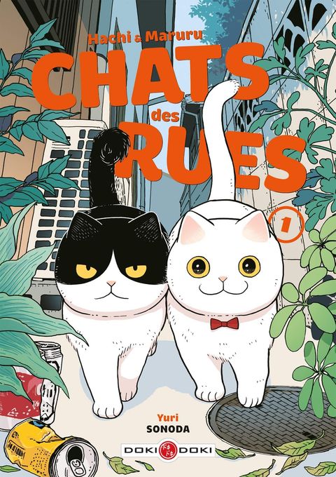 Couverture de l'album Chats des rues