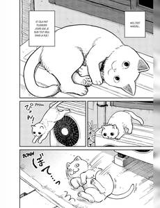 Aperçu 3 de l'album Hachi & Maruru - Chats des rues tome 1 - Chats des rues