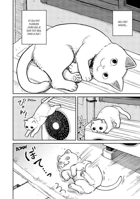 Aperçu de l'album Hachi & Maruru - Chats des rues tome 1 - Chats des rues