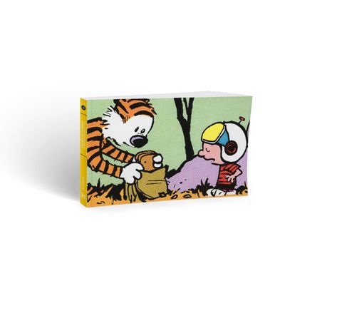 Aperçu de l'album Calvin et Hobbes - (petite) intégrale tome 3