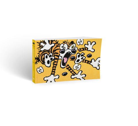 Aperçu de l'album Calvin et Hobbes - (petite) intégrale tome 3