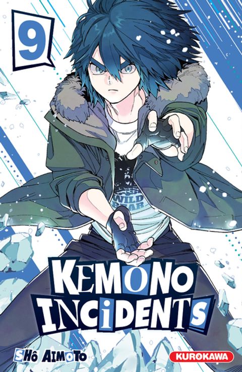 Couverture de l'album Kemono Incidents