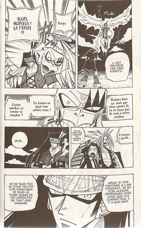 Aperçu de l'album Shaman King tome 4