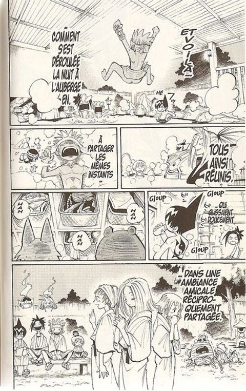 Aperçu de l'album Shaman King tome 9